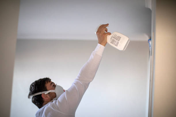 Best Bathroom Mold Remediation in Natchez, MS