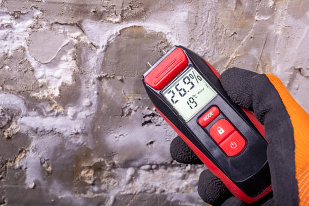 Professional Mold Remediation in Natchez, MS